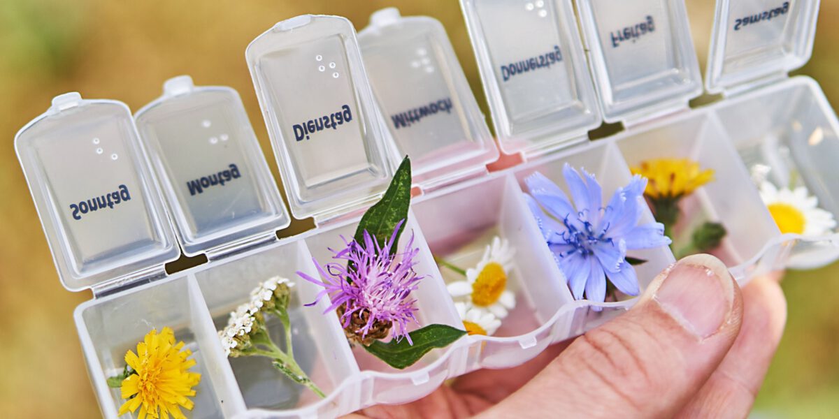 Ein Behälter zur Medikamentenvergabe mit den Wochentagen als Aufschrift. in den jeweiligen Fächern befinden sich  Blüten. 